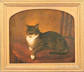 Portrait of a Gray Tiger Cat Seated on a Chair