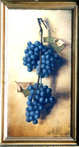 Blue Grapes on a Nail