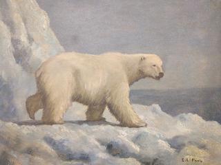 Polar Bear