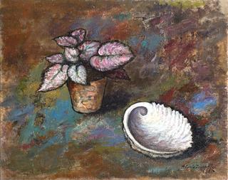 Still Life with Shell