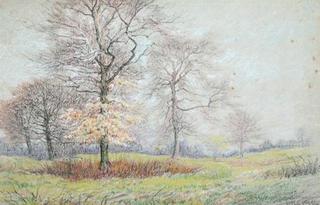 Group of Trees in an Autumn Landscape