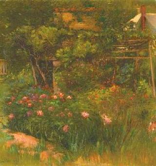 Corner of My Garden
