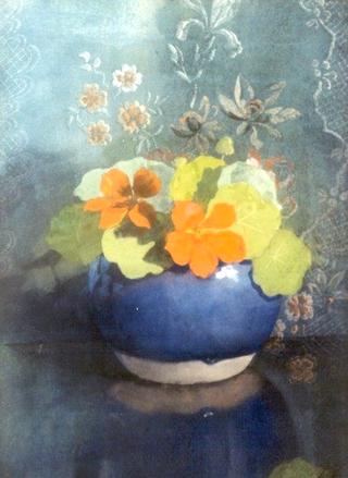 Nasturtiums