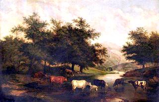 牛群与风景