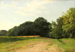 Edge of Woods