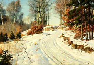 Winter day in Ravnsholt, Denmark