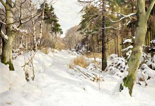 A winter track, Ravnholm
