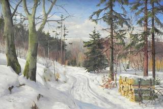 A snow covered forest road