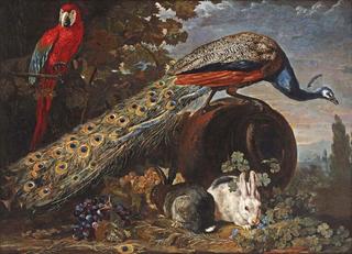 A Peacock, a Macaw and Rabbits in a Landscape