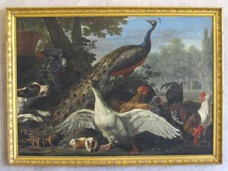 Goose and Peacock Attacked by a Dog