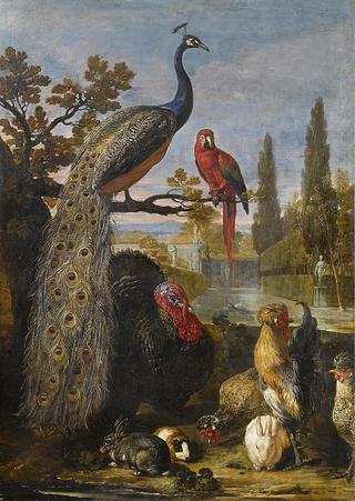 A peacock, a parrot, turkey, roosters, rabbits and a Guinea Pig in a park landscape