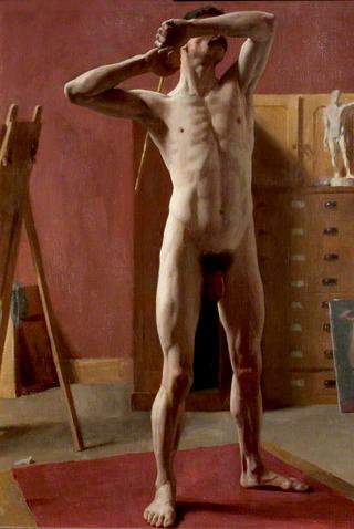 Standing Male Nude