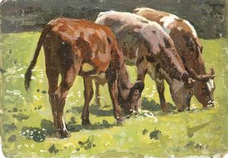 Three Cows Grazing in a Field