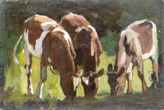 Three Cows Grazing