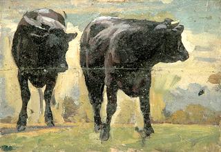 Two Black Cows