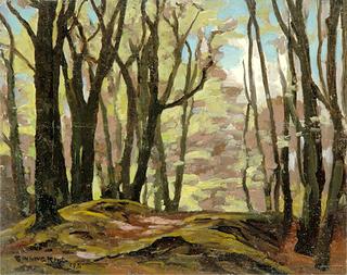 Wooded Scene