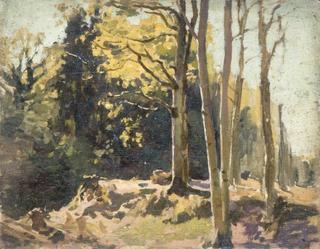 Woodland Scene