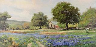 Blue Bonnets in Texas