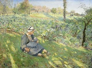 Rural scene from Brittany, France