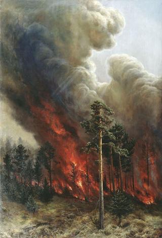 Forest Fire