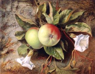 Autumn Apples and Convolvulus