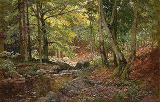 Forest Scene