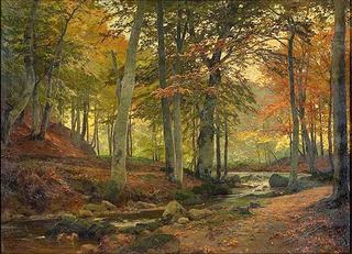 Creek in Autumn Forest