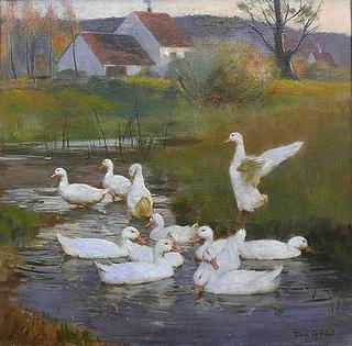Twelve Ducks in Water