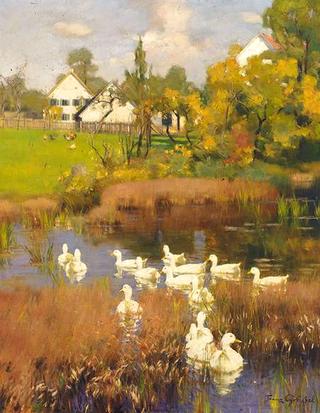 Summer Day