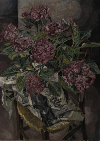 Still life with pink hydrangeas