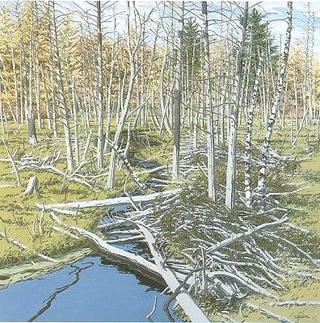 Abandoned Beaver Flowage