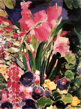 Gladioli