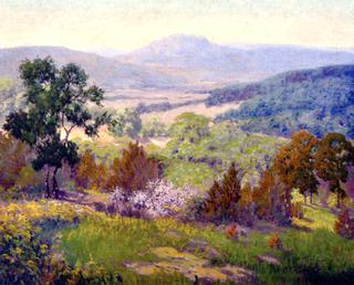 Hill Country Landscape