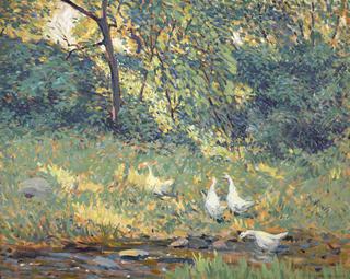 Geese