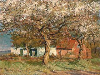 Apple Trees in Bloom