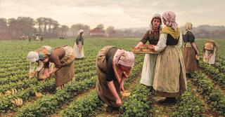 Strawberry Gatherers