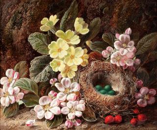 Apple Blossom, Primroses and Bird's Nest