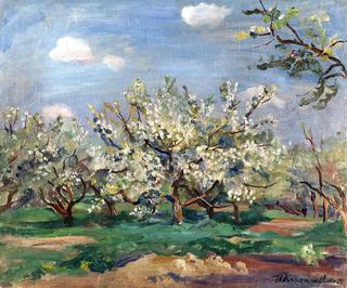 Apple Tree in Bloom