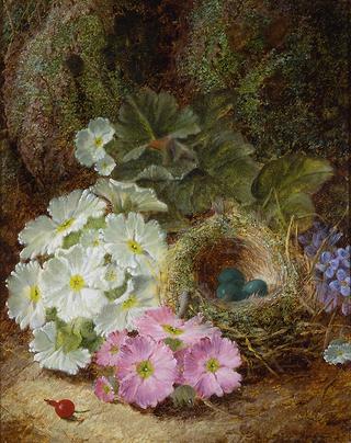 Flowers, a Berry and a Bird's Nest