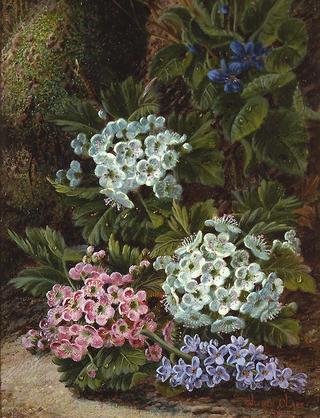 Still Life of Flowers