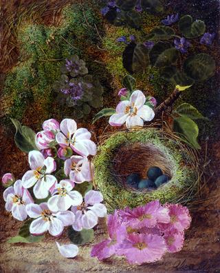 Still Life of Flowers and Bird's Nest