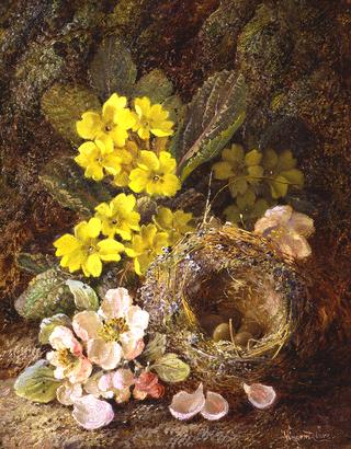 Still Life with Bird's Nest