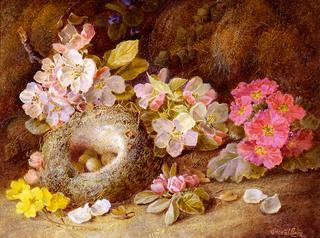 Still Life of Flowers with Bird's Nest