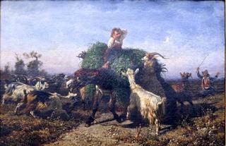 Fennel Cart attacked by Goats