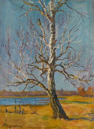 Birch Tree in Spring