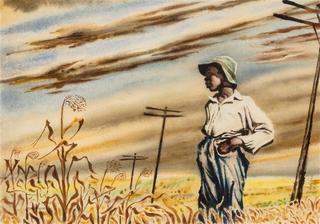 Boy in Cornfield
