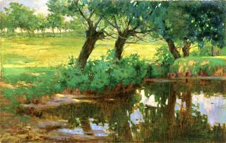 A Quiet Pond