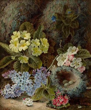 Still Life of Bird's Nest and Primroses