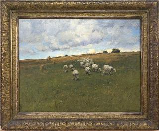 Hill Pasture