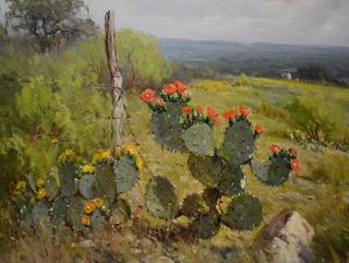 Prickly Pear in Bloom